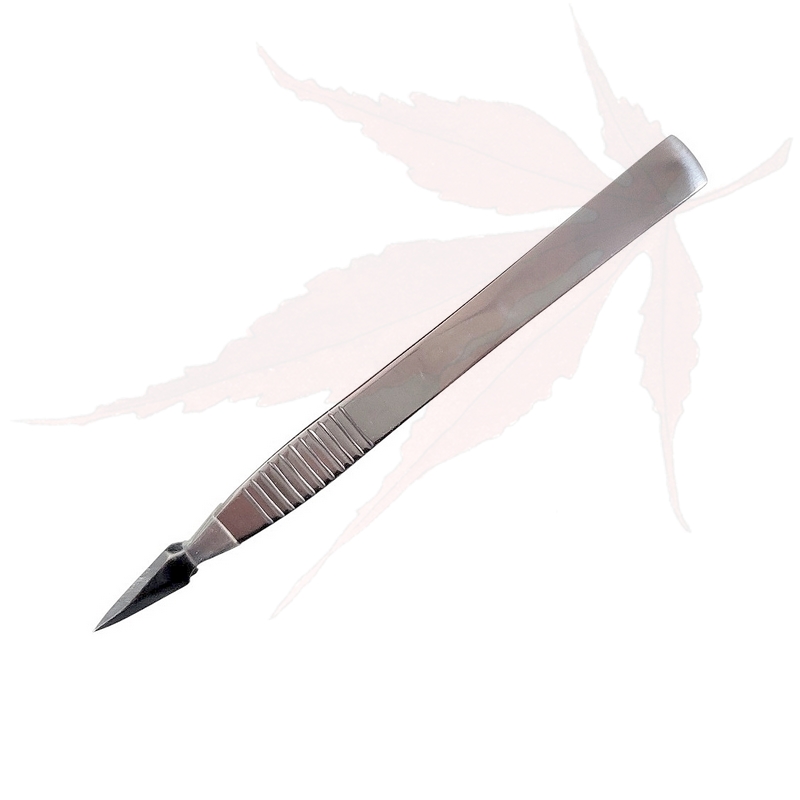 Pince à bourgeons 125mm – ‘Kikuwa’