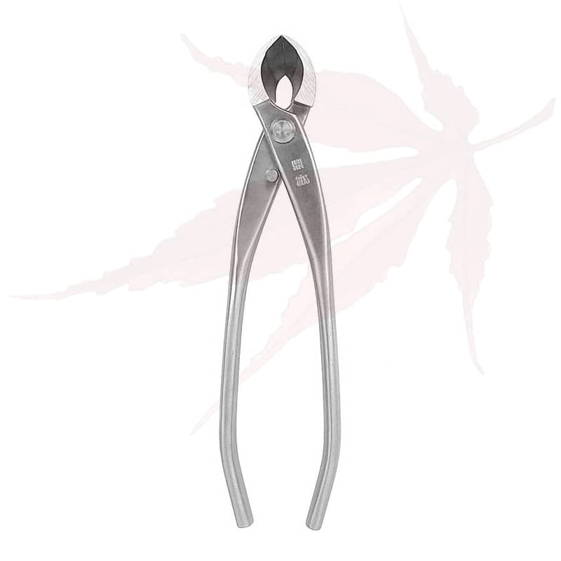 Pince concave 180mm – ‘Dingmu’