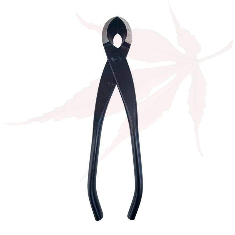 Pince concave 180mm – ‘Dingmu’
