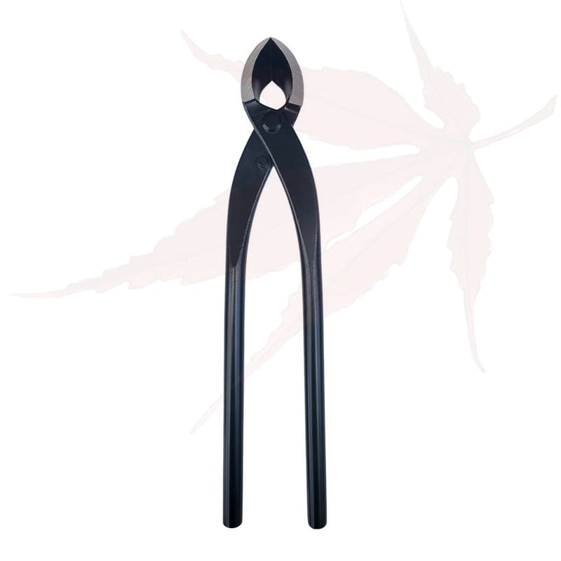 Pince concave 280mm – ‘Dingmu’