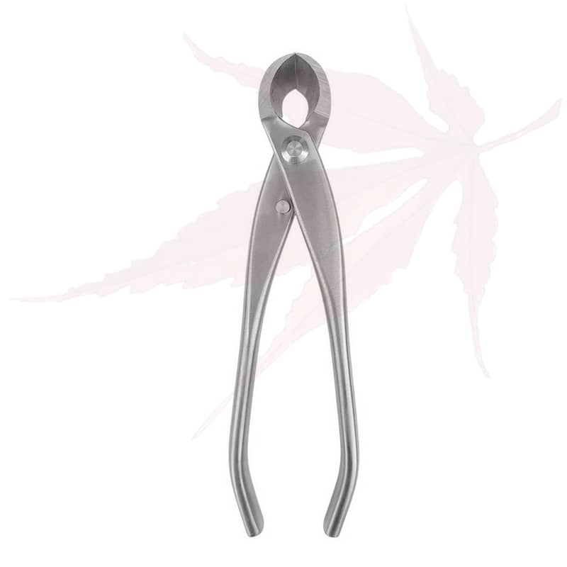 Pince concave 180mm – ‘Dingmu’