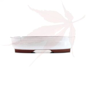 Pot à bonsai n°192 – 19x14x4.5