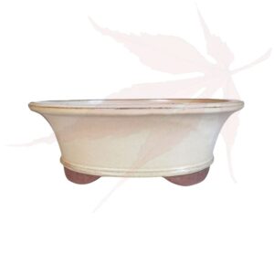Pot à bonsai n°193 – 26x21x9
