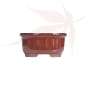 Pot à bonsai n°195 – 12.5x10x6