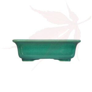 Pot à bonsai n°203 – 21x21x6.5
