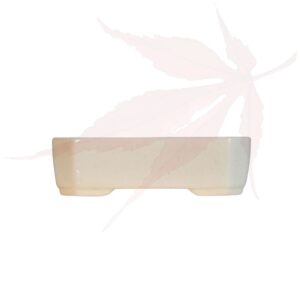 Pot à bonsai n°204 – 13.5x11x4