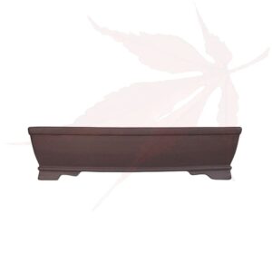 Pot à bonsai n°210 – 34.5×23.5×8.5