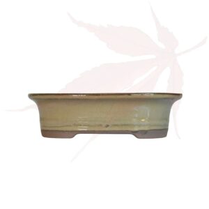 Pot à bonsai n°216 – 15.5x12x4.5