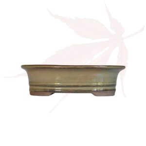 Pot à bonsai n°217 – 15x12x4.5