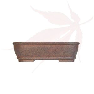 Pot à bonsai n°219 – 16×12.5×5