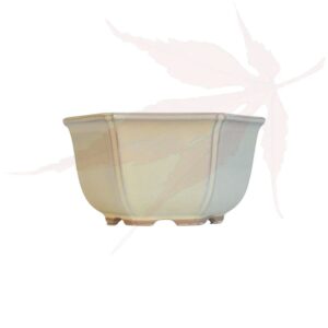 Pot à bonsai n°221 – 13.5×13.5×8