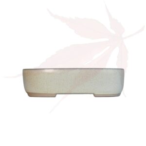 Pot à bonsai n°224 – 16x11x4.5