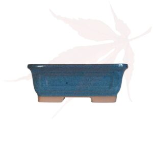 Pot à bonsai n°226 – 15.5x12x6