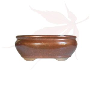 Pot à bonsai n°230 – 20x16x8