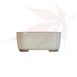 Pot à bonsai n°231 – 11.5×8.5×5