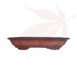 Pot à bonsai n°234 – 30.5×30.5×6