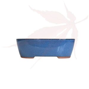 Pot à bonsai n°235 – 15.5×11.5×5