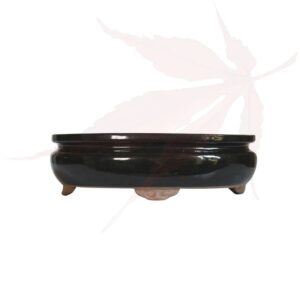 Pot à bonsai n°236 – 24.5x19x7.5