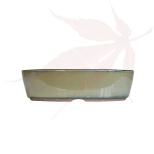 Pot à bonsai n°239 – 19×13.5×5
