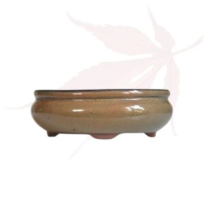 Pot à bonsai n°240 – 18x14x6