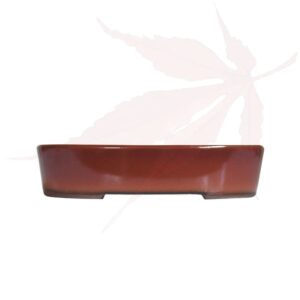 Pot à bonsai n°241 – 19x14x4.5