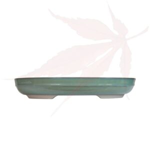 Pot à bonsai n°243 – 34.5×26.5×5.5