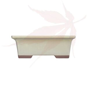 Pot à bonsai n°244 – 15.5×12.5×6