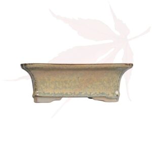 Pot à bonsai n°246 – 15.5×11.5×5.5