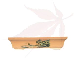 Pot à bonsai n°249 – 30×18.5×7