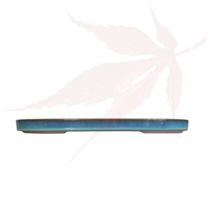 Pot à bonsai n°255 – 47x31x3.5
