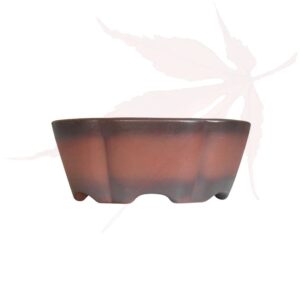 Pot à bonsai n°264 – 20.5×20.5×8