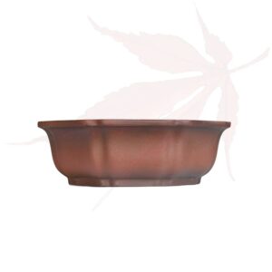 Pot à bonsai n°265 – 24.5×24.5×8