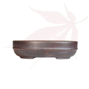 Pot à bonsai n°270 – 16×13.5×4.5