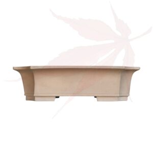 Pot à bonsai n°271 – 61x46x17