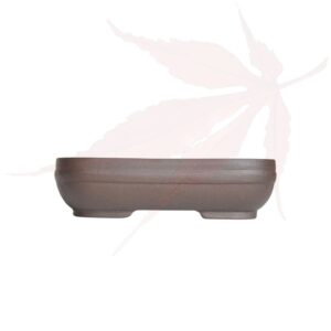 Pot à bonsai n°286 – 16.5×11.5×4.5