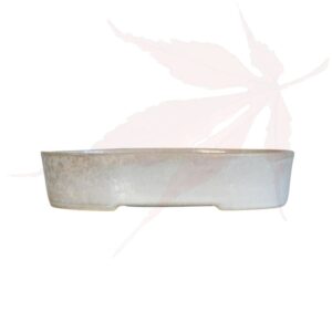 Pot à bonsai n°133 – 15x10x3.5