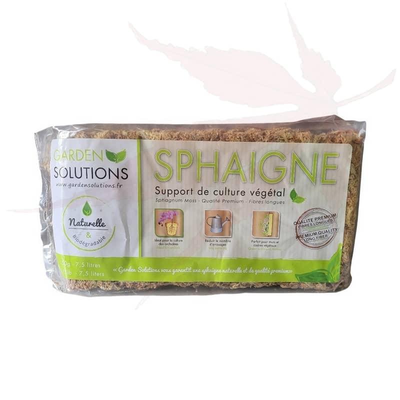 Sphaigne naturelle à fibres longues
