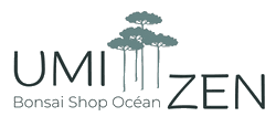 Umi Zen Bonsai Shop